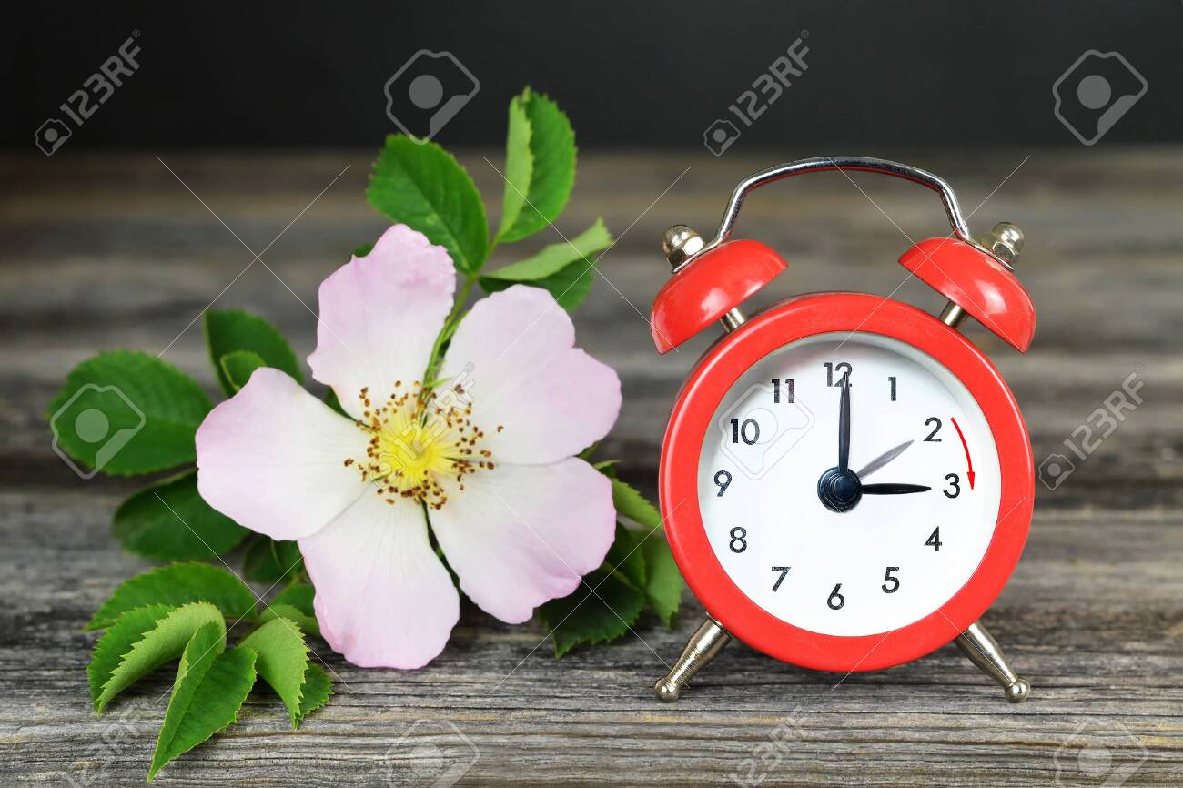Spring Forward Daylight Saving Time Summer Time Change Stock Photo Picture And Royalty Free Image Image Spring Forward Daylight Saving Time Summer Time Change Stock Photo Picture And Royalty Free Image Image
