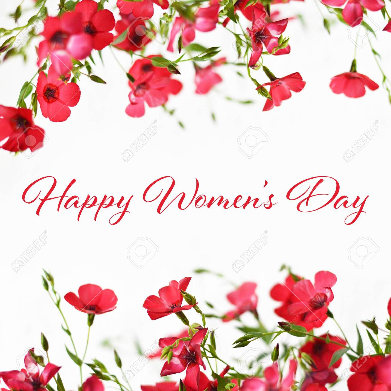 happy womens day flowers