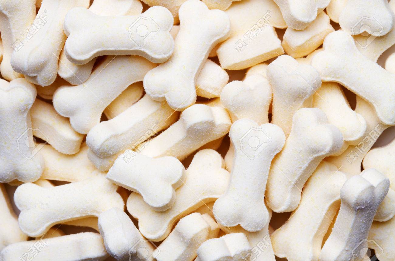 Pile Of White Color Dog Biscuits In The Shape Of A Bone For A Pet Food Background Stock Photo Picture And Royalty Free Image Image 64751714