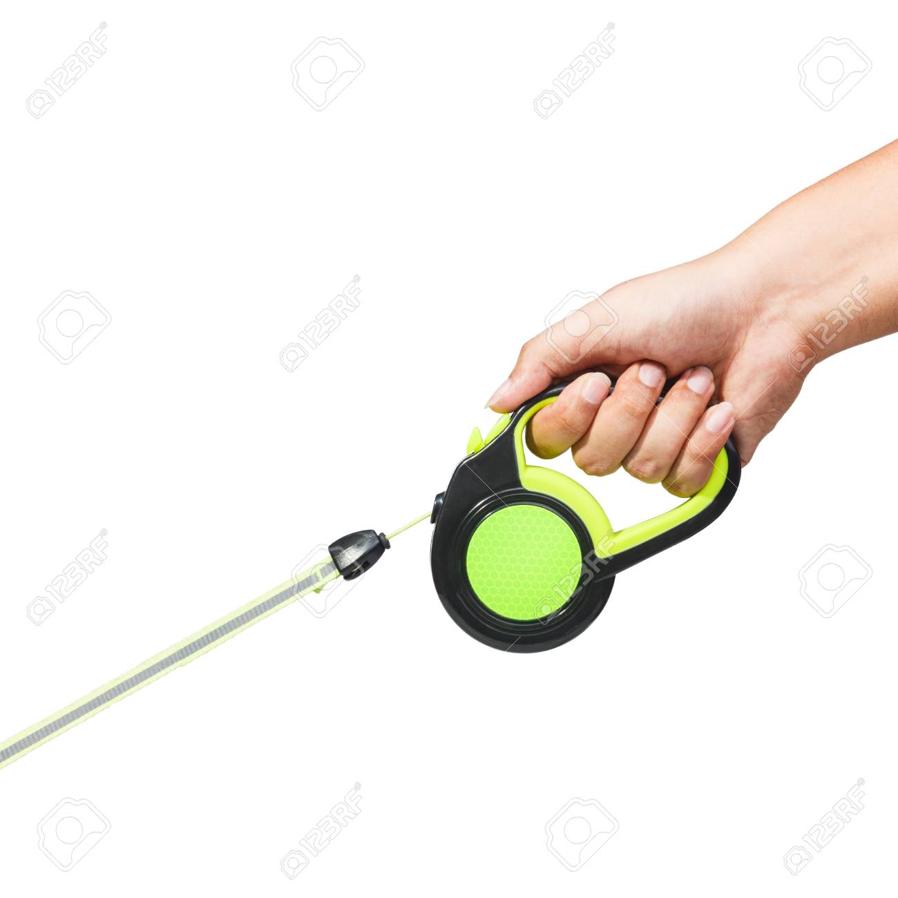 Hand holding black and green retractable dog leash on isolated white background - 104939774 Hand holding black and green retractable dog leash on isolated white background - 104939774
