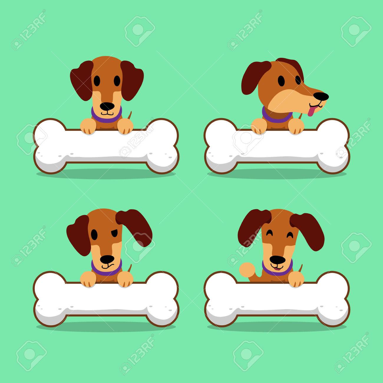 Personnage De Dessin Animé Teckel Brun Chien Avec De Gros Os