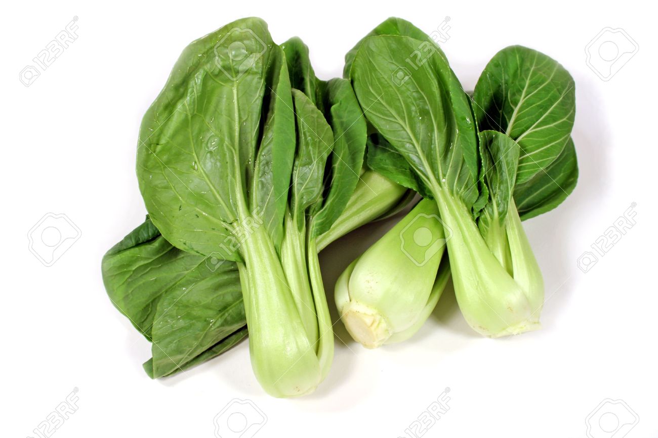 vegetable leaf