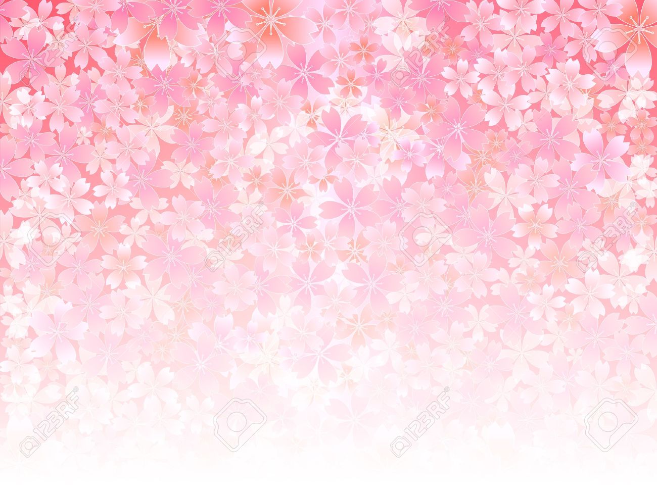 ピンクの春桜の花の背景のイラスト素材 ベクタ Image