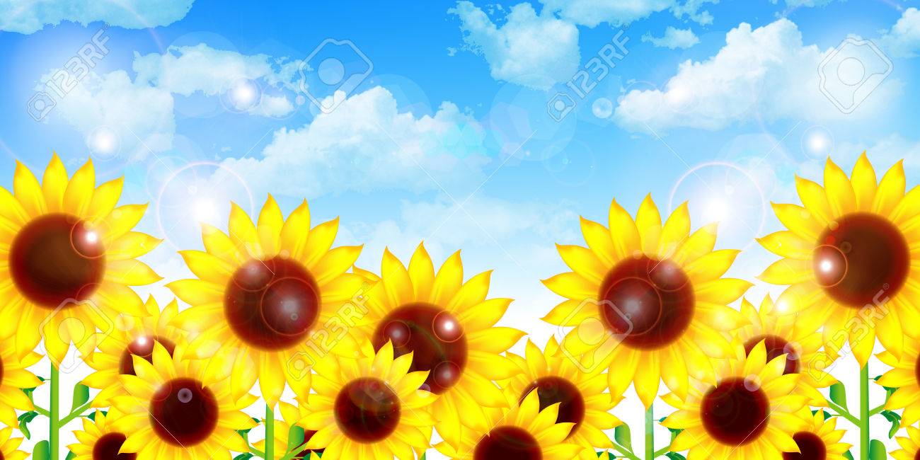 向日葵の花の背景 のイラスト素材 ベクタ Image