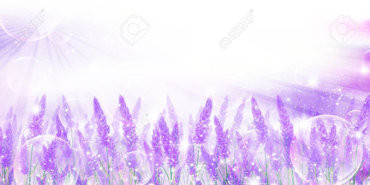 ラベンダーの花の風景の背景のイラスト素材 ベクタ Image