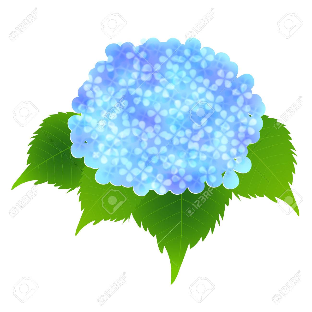 アジサイ梅雨の季節の花のアイコンのイラスト素材 ベクタ Image