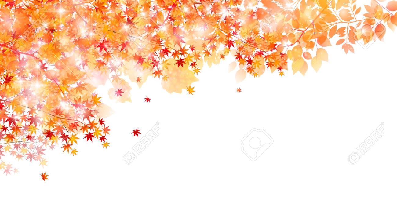 メープル秋風景の背景 のイラスト素材 ベクタ Image