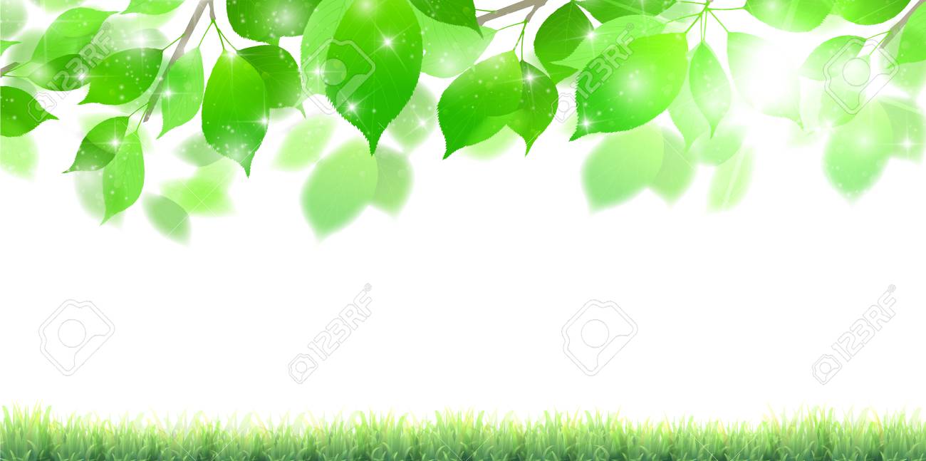 Fresh Green Leaves Landscape Background Royalty Free Cliparts Vectors And Stock Illustration Image 95043763