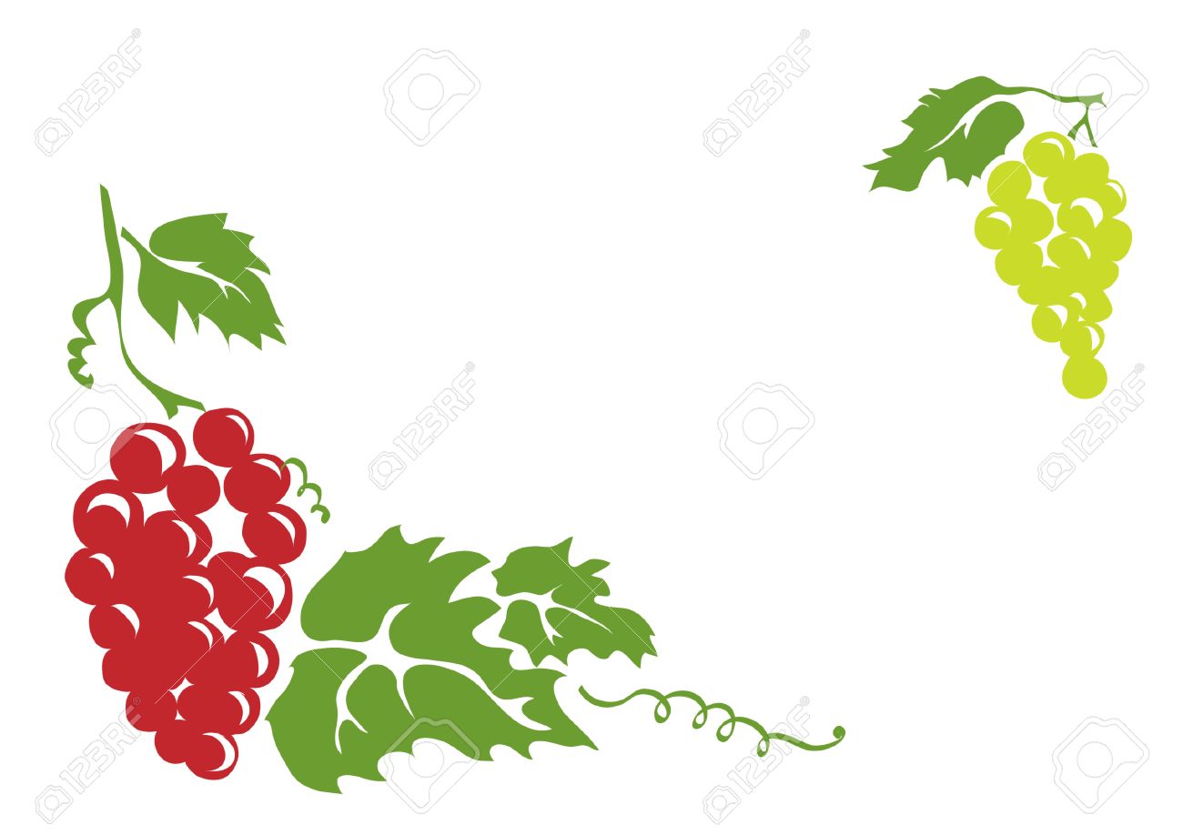 photo Colored Bunch Of Grapes Drawing colored simple flat drawing of brunches of grapes with leafs