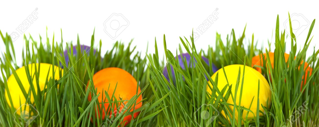 easter border easter eggs in green grass over white background easter eggs border