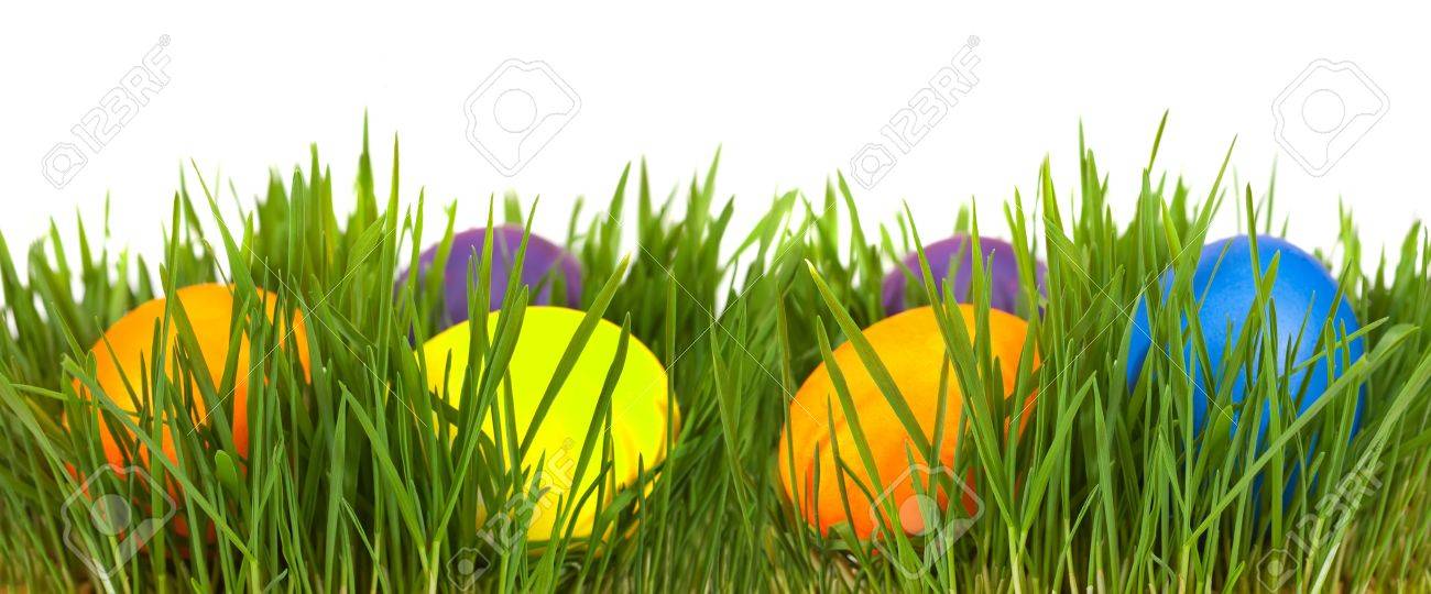 easter border easter eggs in green grass over white background easter eggs border
