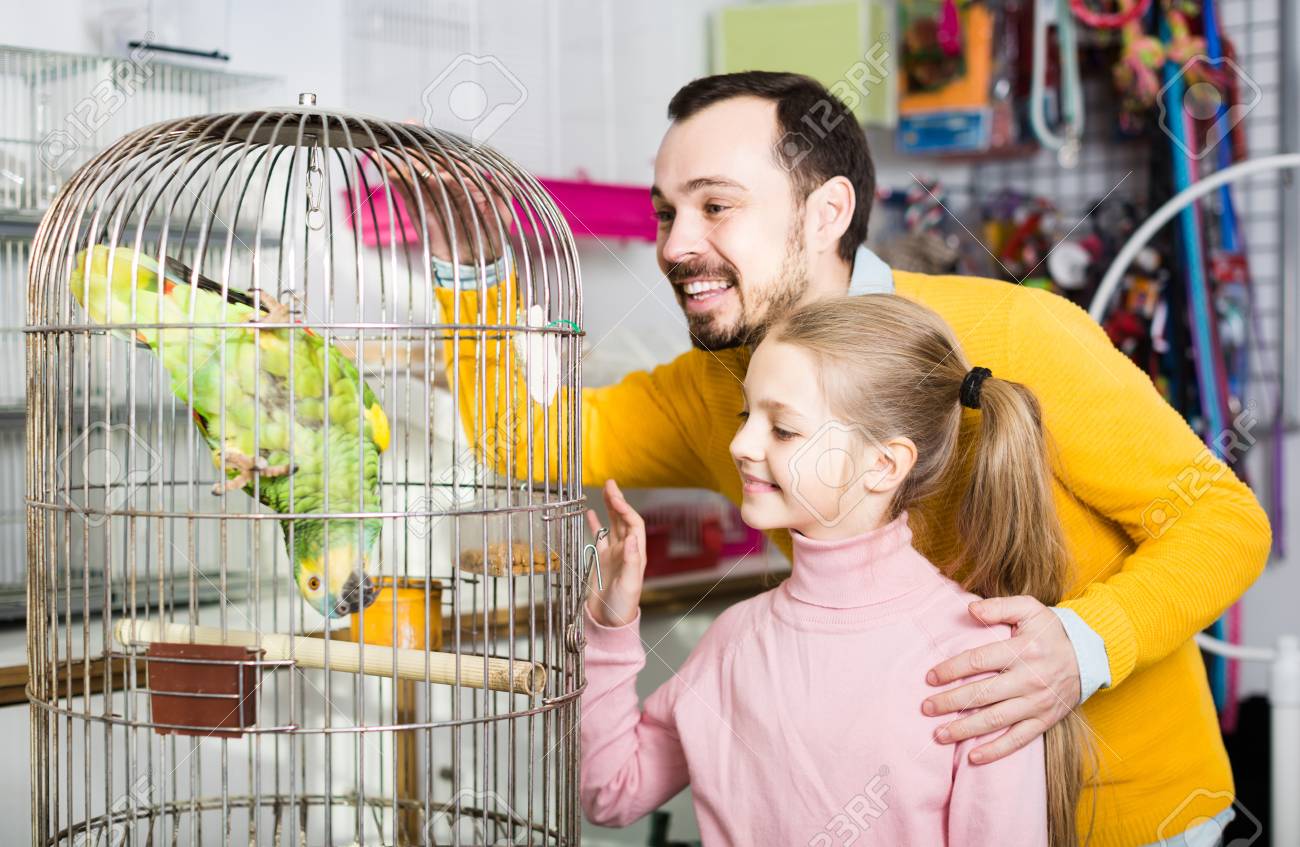 parakeet pet store