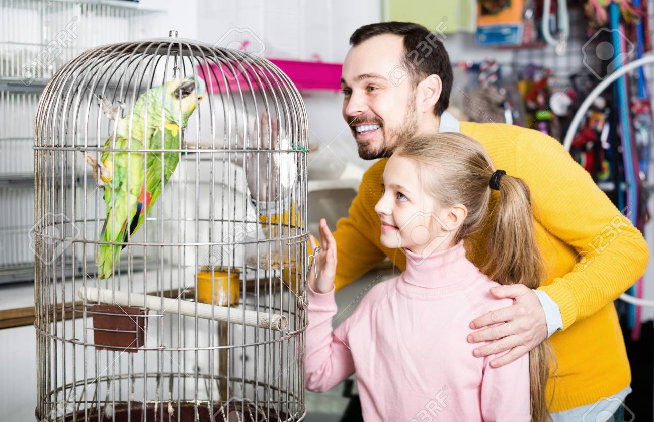 parrot pet shop