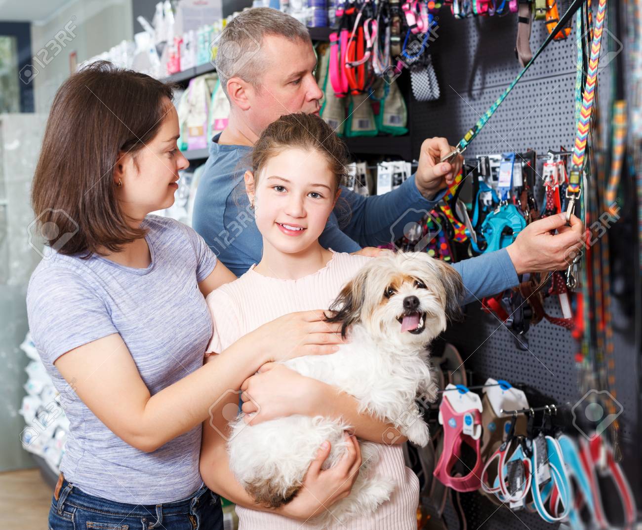 visiting family with your dog