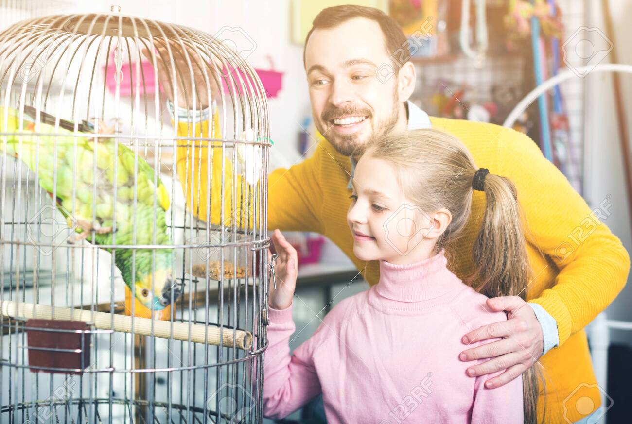 parrot in pet shop