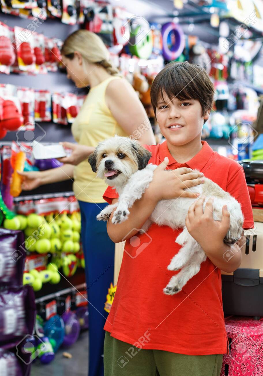 puppy accessories store