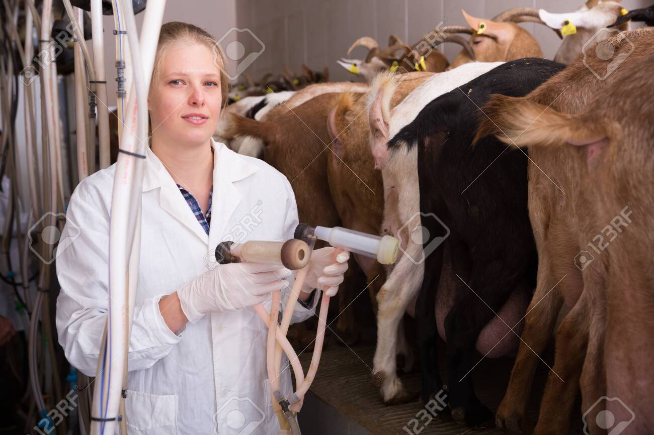 Milking machine women