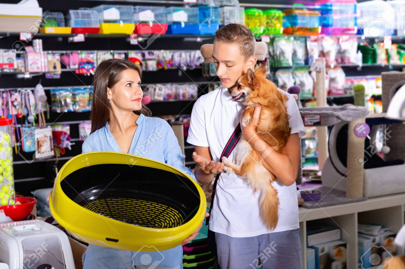 puppy accessories store