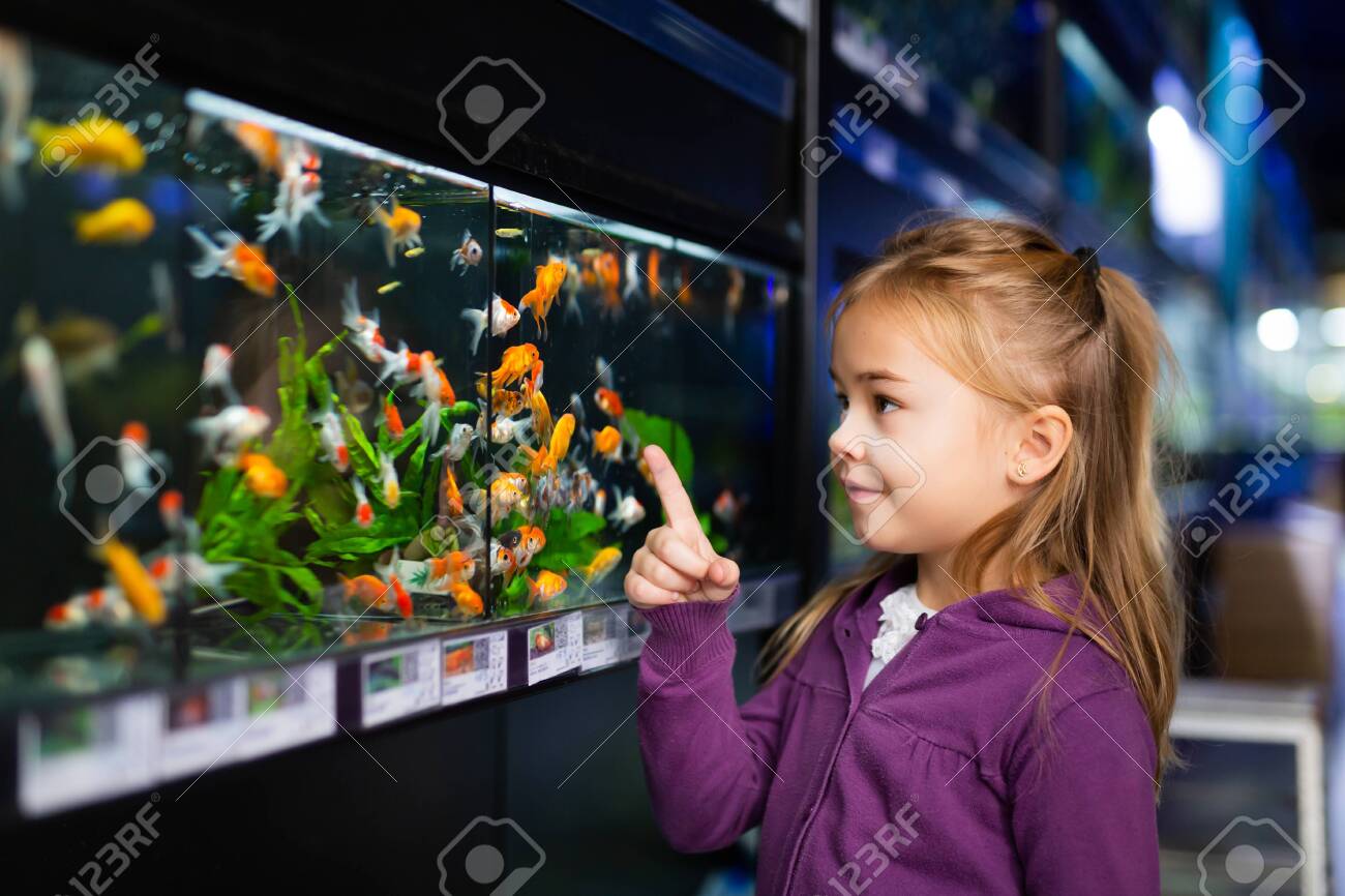 Girl looking at aquarium fish in pet shop - 155352730 Girl looking at aquarium fish in pet shop - 155352730