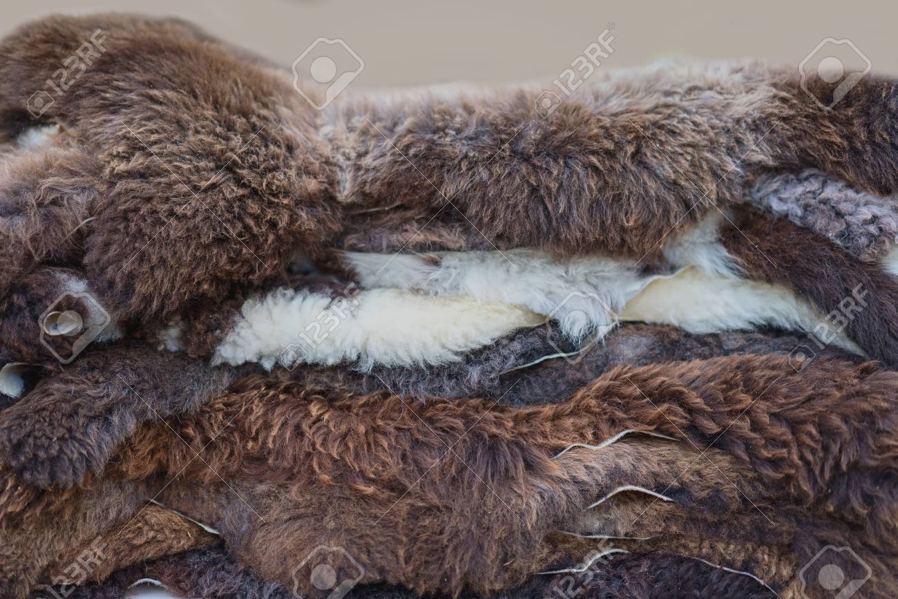 A Pile Of Animal Skins Layered One On Top Of Each Other Ready Stock Photo Picture And Royalty Free Image Image 101933973