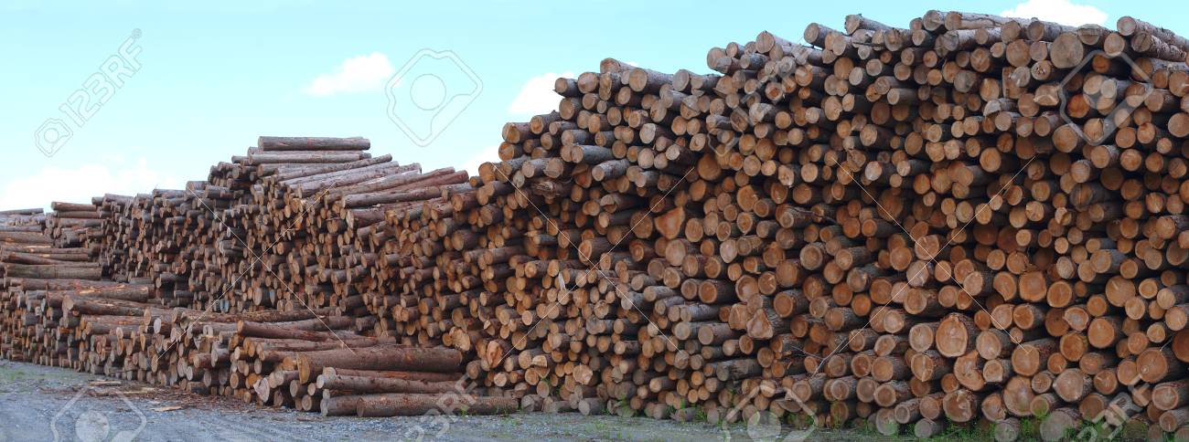 木材を製材材木置き場ビジネス木材積み上げ森林産業環境 の写真素材 画像素材 Image