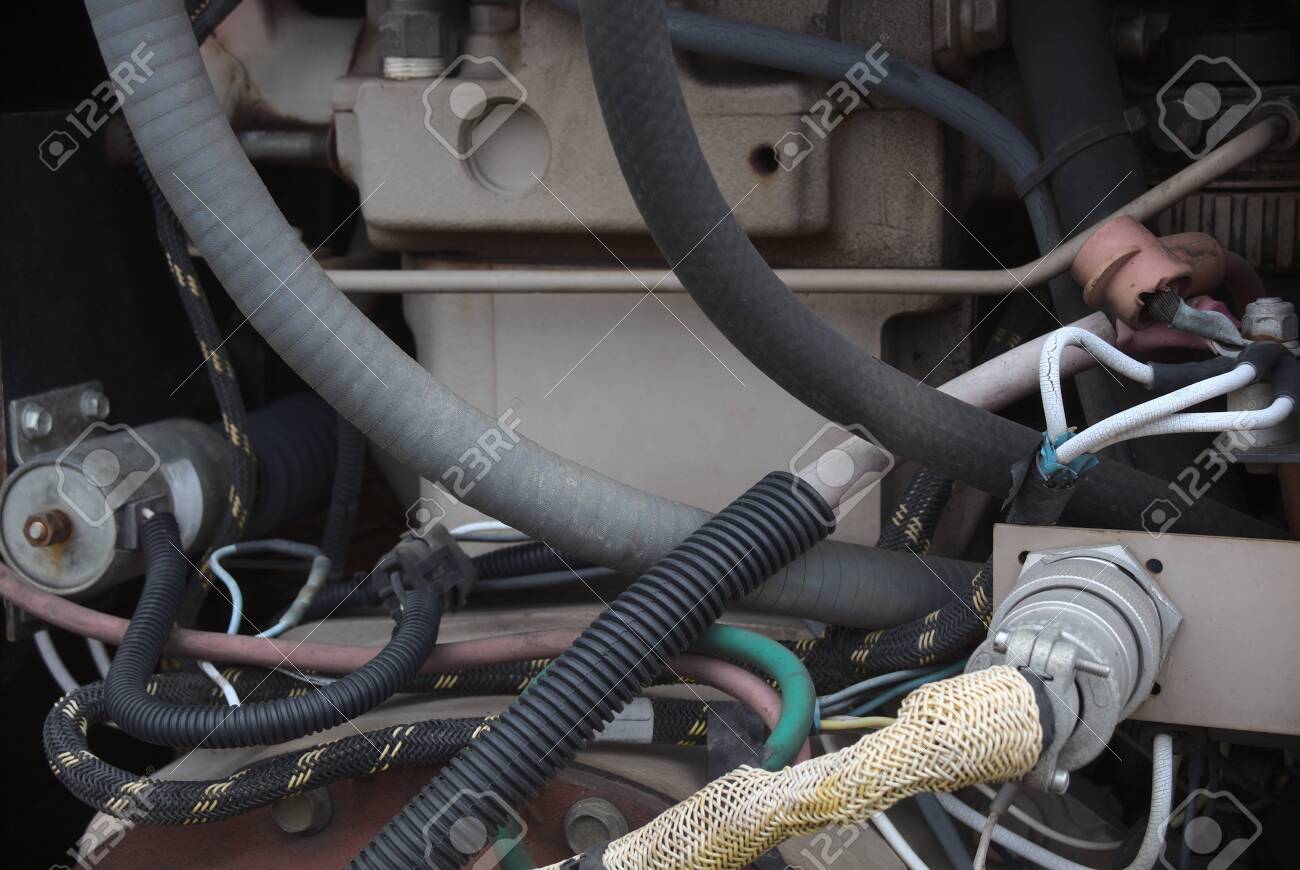 etiam-dictum-ipsum-a-felis