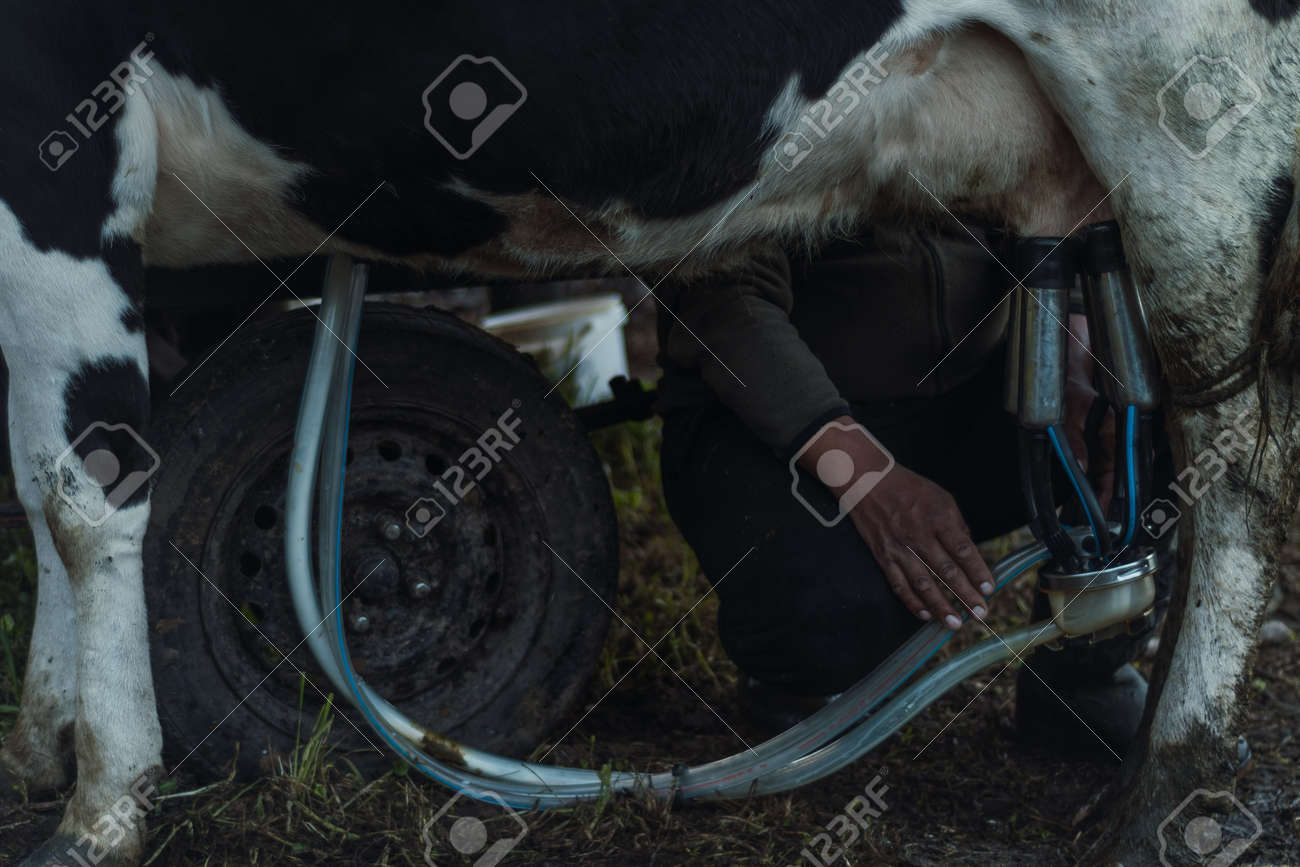 Men Milking Men Men Milking Men