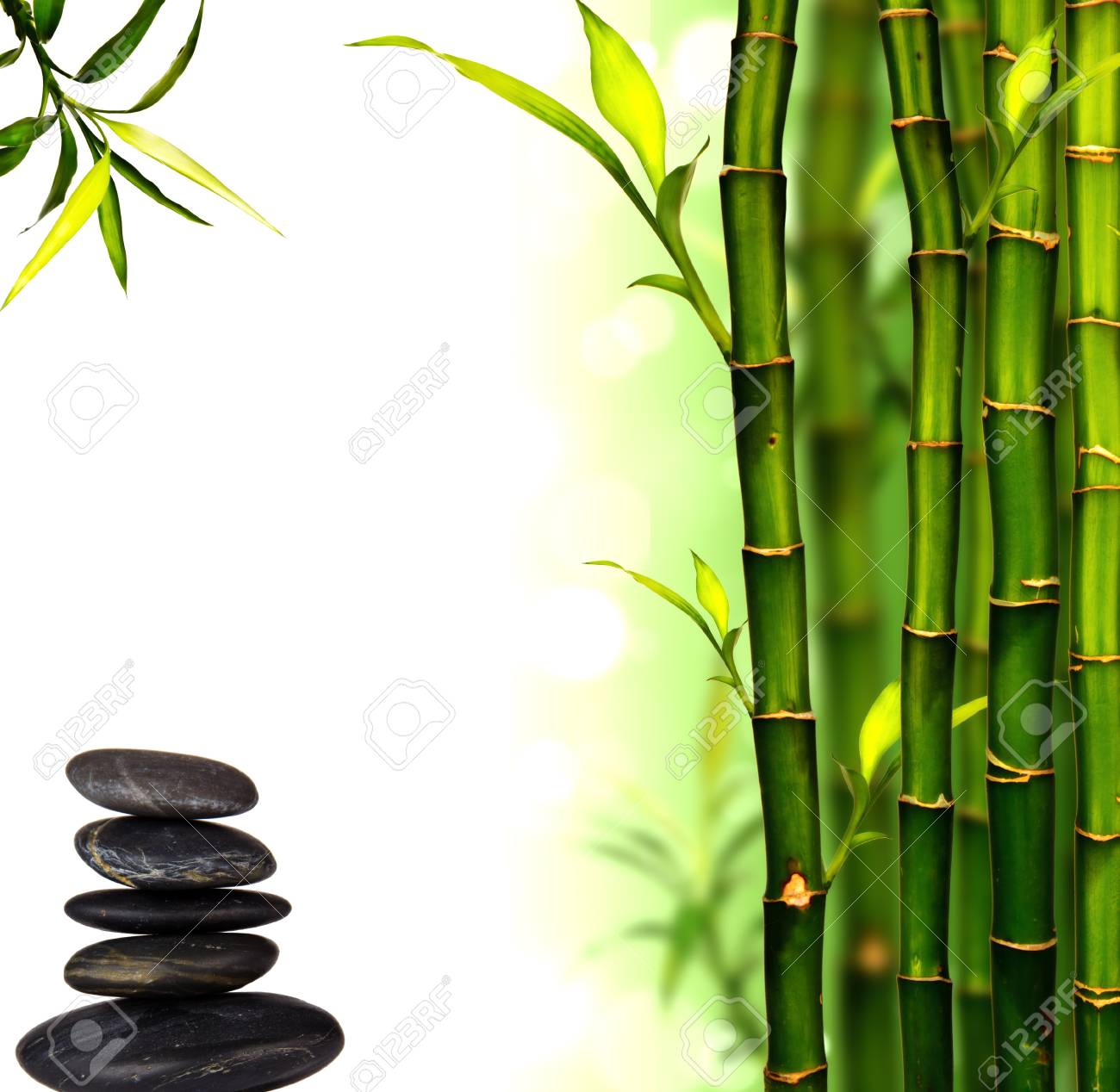 Miễn phí bộ sưu tập hình nền Spa bamboo background cho thiết bị di động