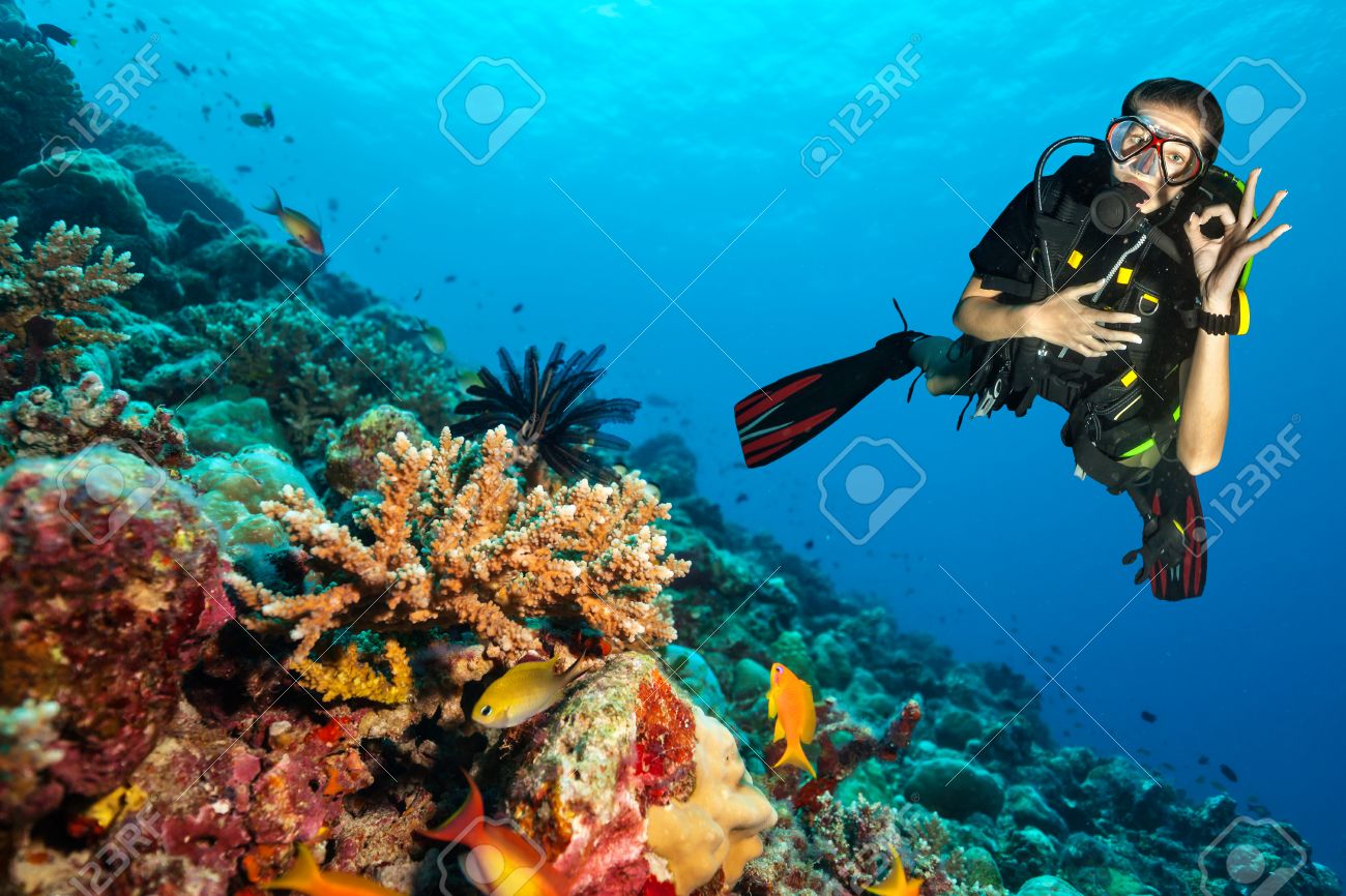 Female scuba diver showing ok sign, explore beautiful coral reef. Underwater photography in Indian ocean, Maldives - 53031425 Female scuba diver showing ok sign, explore beautiful coral reef. Underwater photography in Indian ocean, Maldives - 53031425