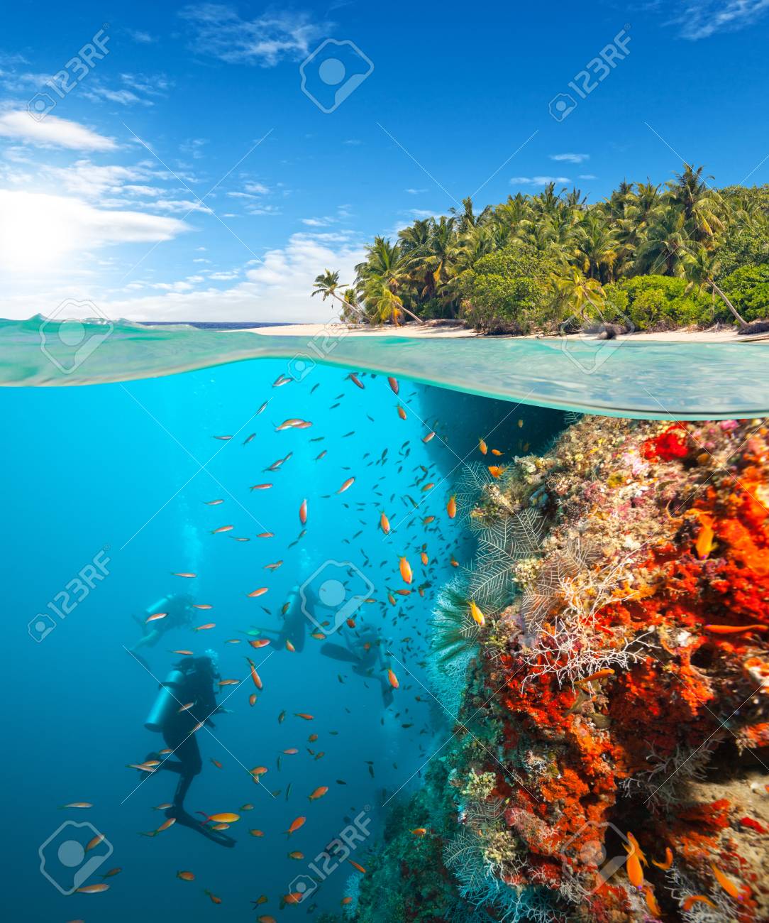 Group of scuba divers exploring coral reef. Underwater sports and tropical vacation template - 72123264 Group of scuba divers exploring coral reef. Underwater sports and tropical vacation template - 72123264