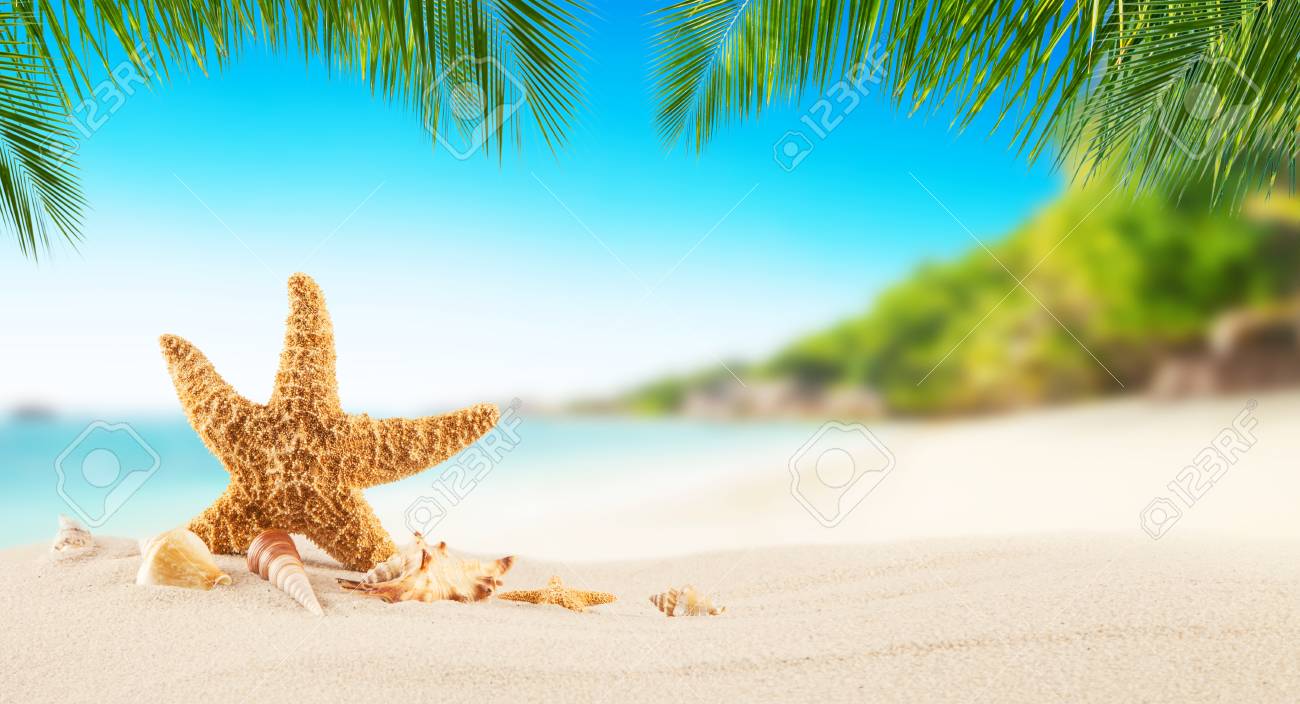海の星砂 夏の休日の背景に熱帯ビーチ 旅行 ビーチの休暇 テキストまたは製品の配置の空き領域 の写真素材 画像素材 Image 海の星砂 夏の休日の背景に熱帯ビーチ 旅行 ビーチの休暇 テキストまたは製品の配置の空き領域 の写真素材 画像素材 Image