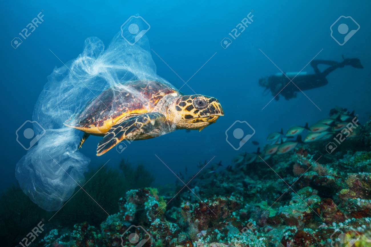 海洋に浮かぶプラスチックゴミに関する地球規模の問題の水中概念
