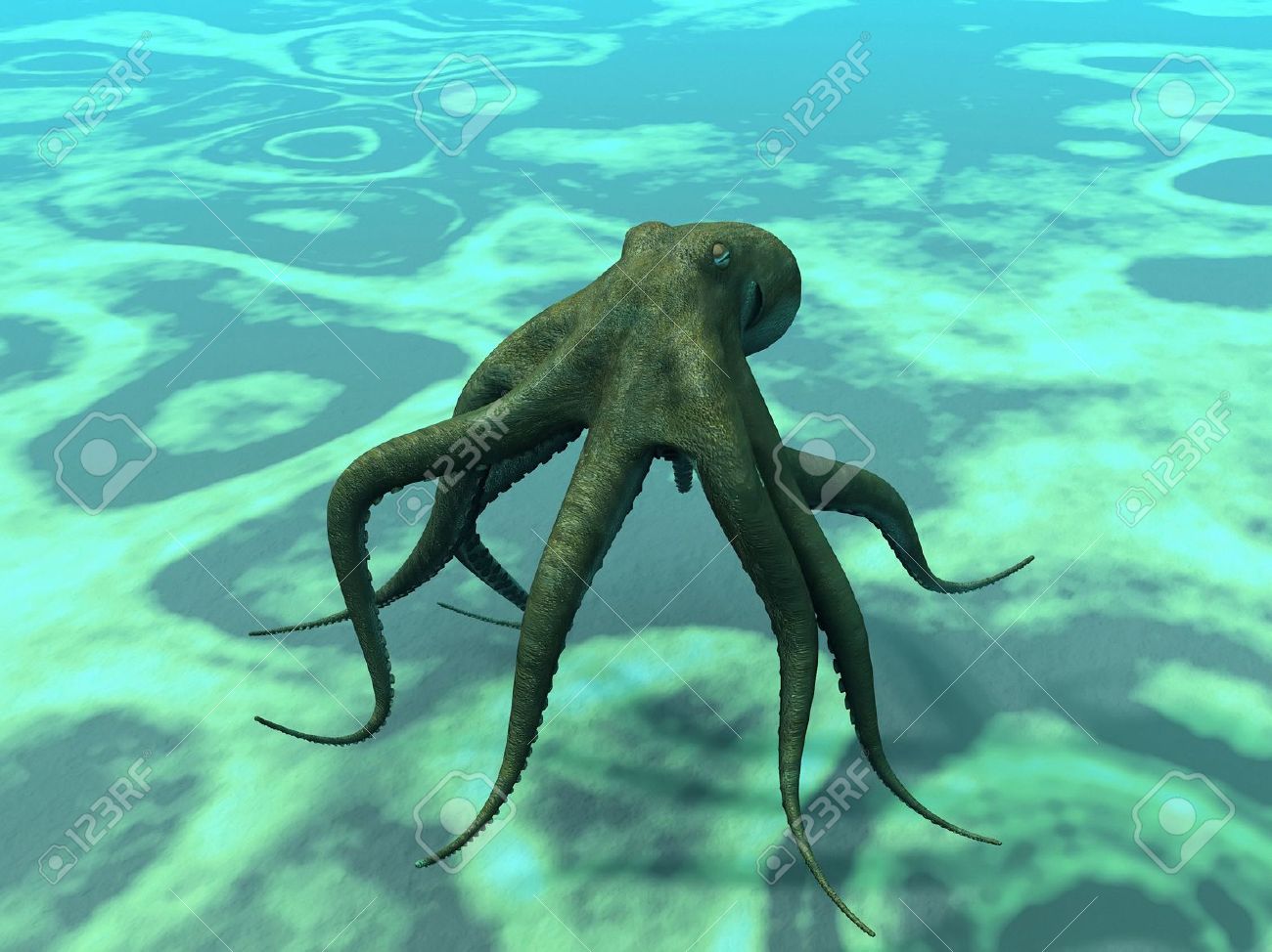 海の底でタコ の写真素材 画像素材 Image