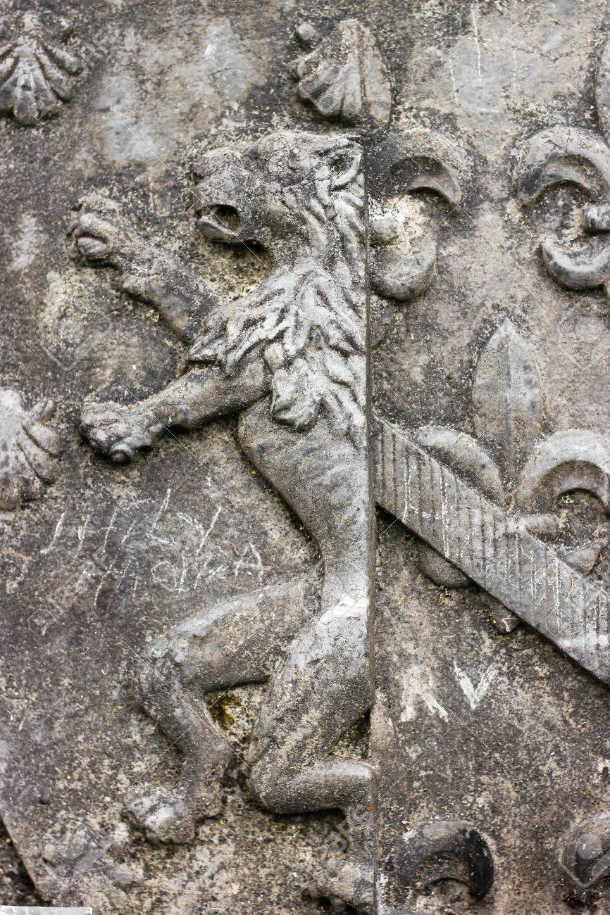 etiam-dictum-ipsum-a-felis