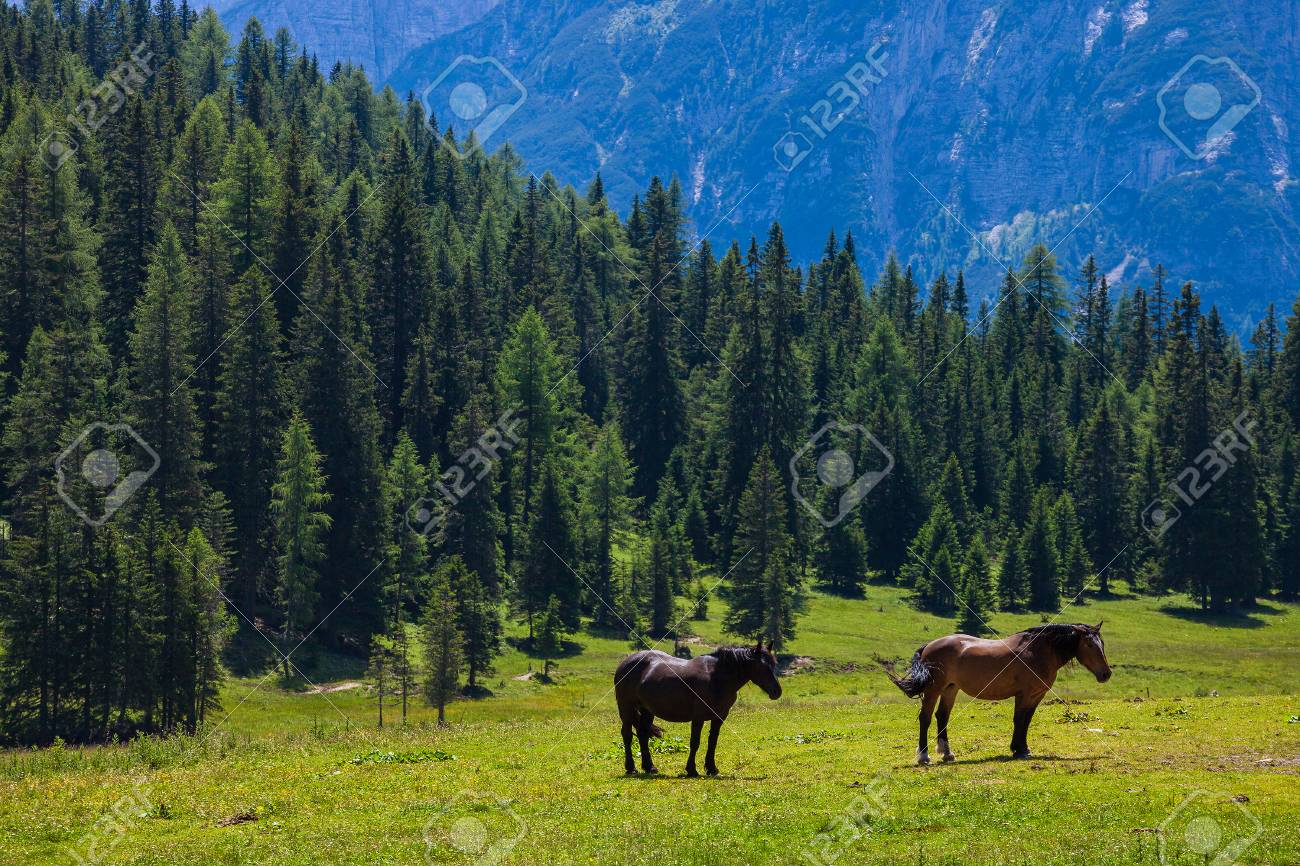 alpes dolomitiques