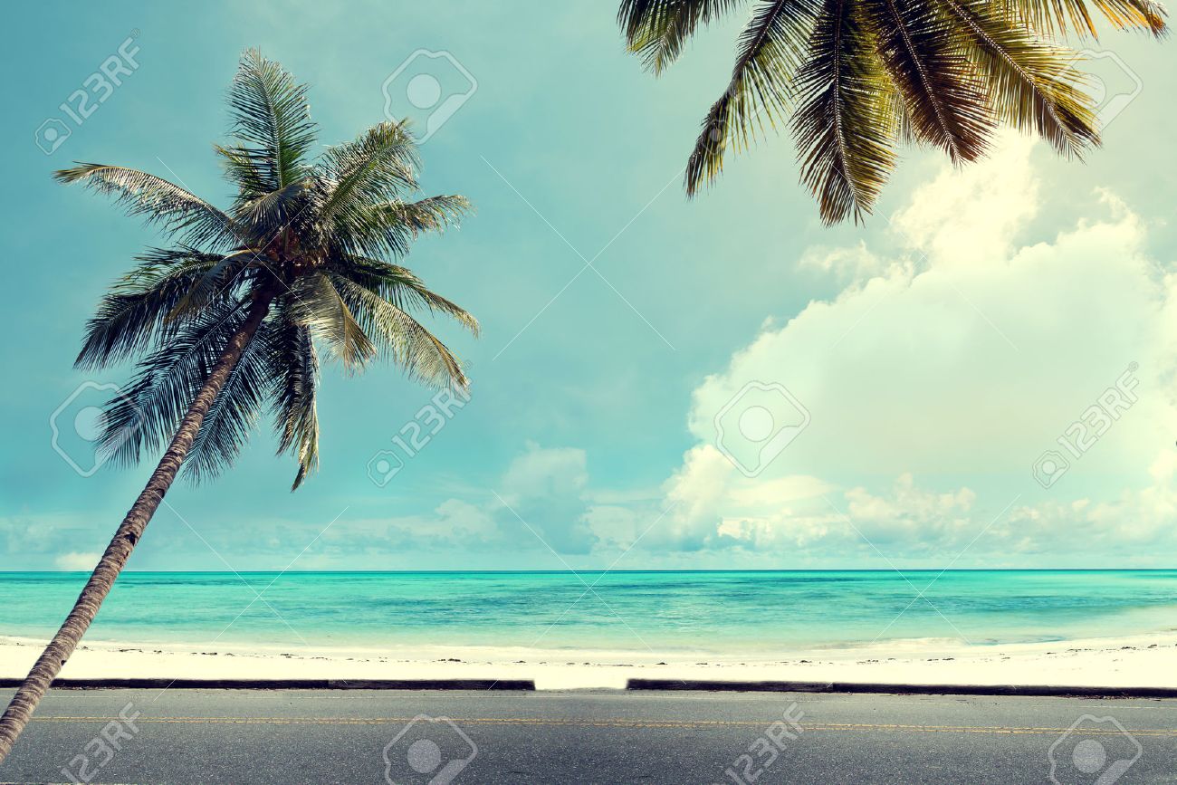 Paysage Vintage Background Nature Du Cocotier Sur Tropical Bleu Ciel Plage Avec La Lumière Du Soleil Du Matin En été Filtre Deffet Rétro