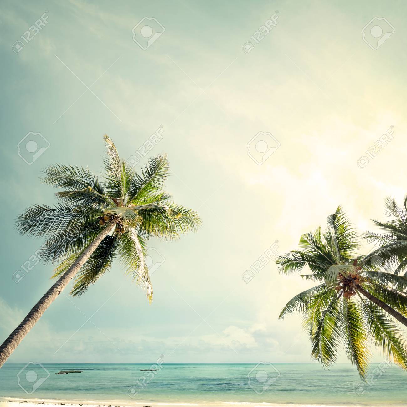 Palme An Der Tropischen Kuste Mit Im Sommer Strand Vintage