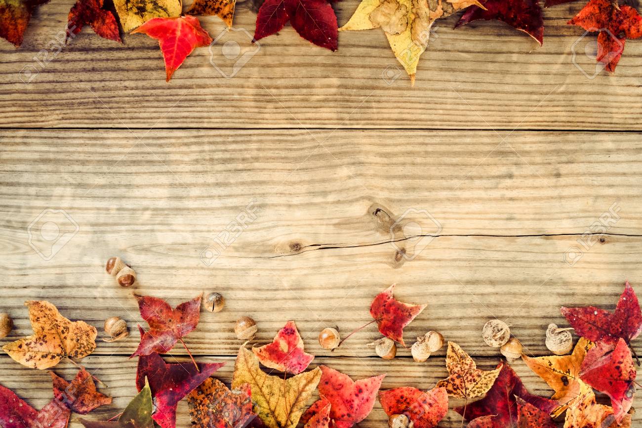 Beautiful Maple Leaves On Vintage Wooden Background Border Design