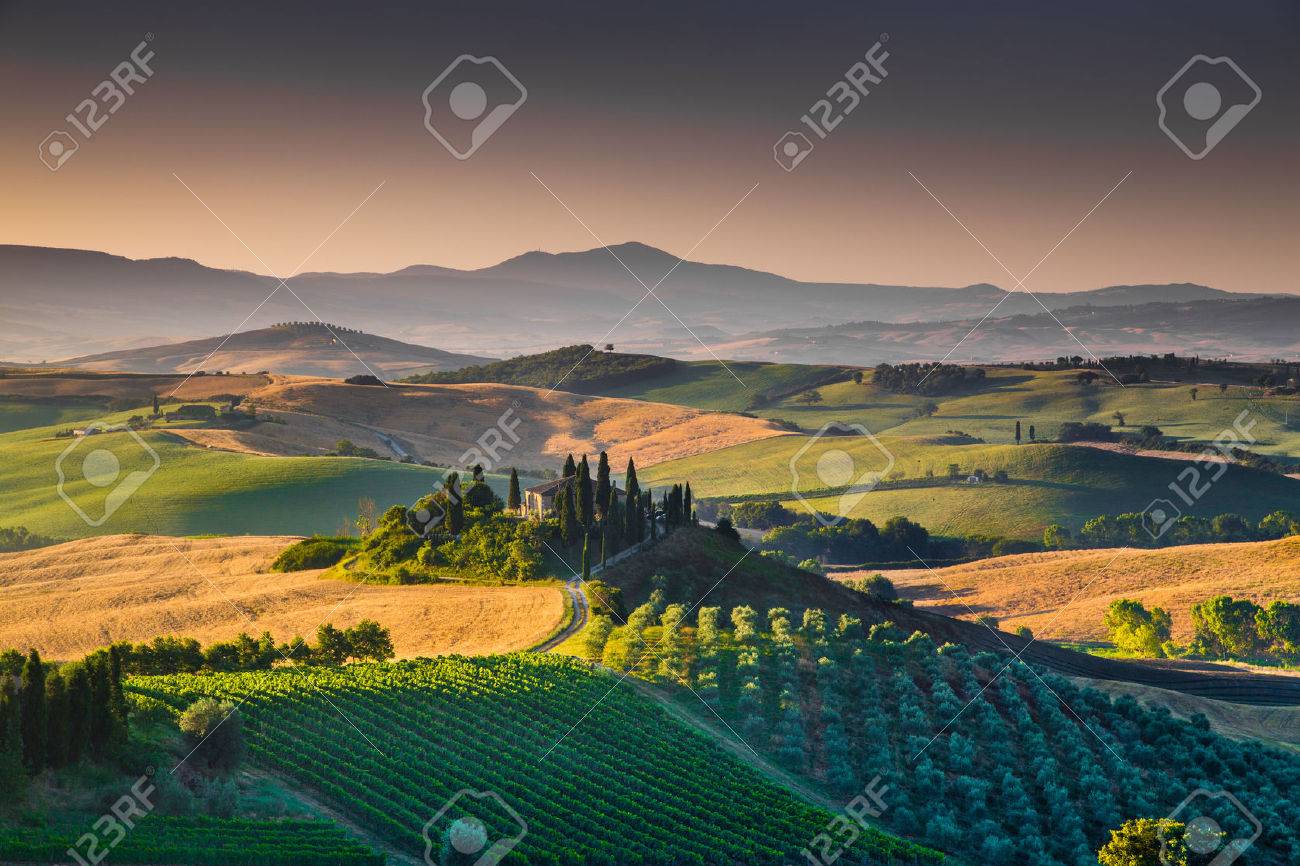 Scenic Tuscany landscape with rolling hills and valleys in golden morning light, Val d'Orcia, Italy - 44104774 Scenic Tuscany landscape with rolling hills and valleys in golden morning light, Val d'Orcia, Italy - 44104774