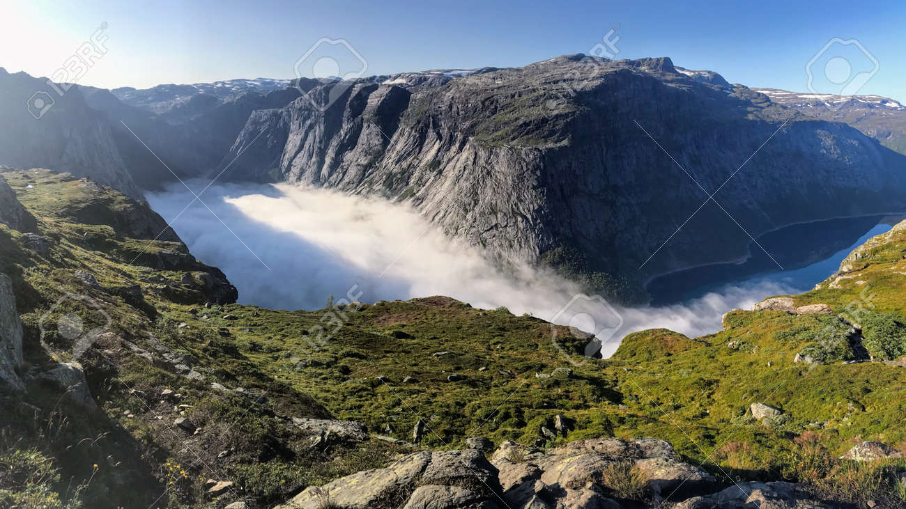 etiam-dictum-ipsum-a-felis