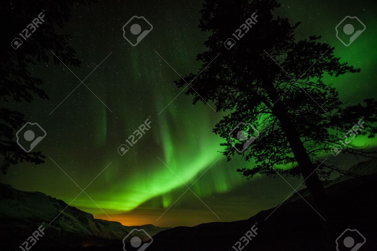 northern lights above a