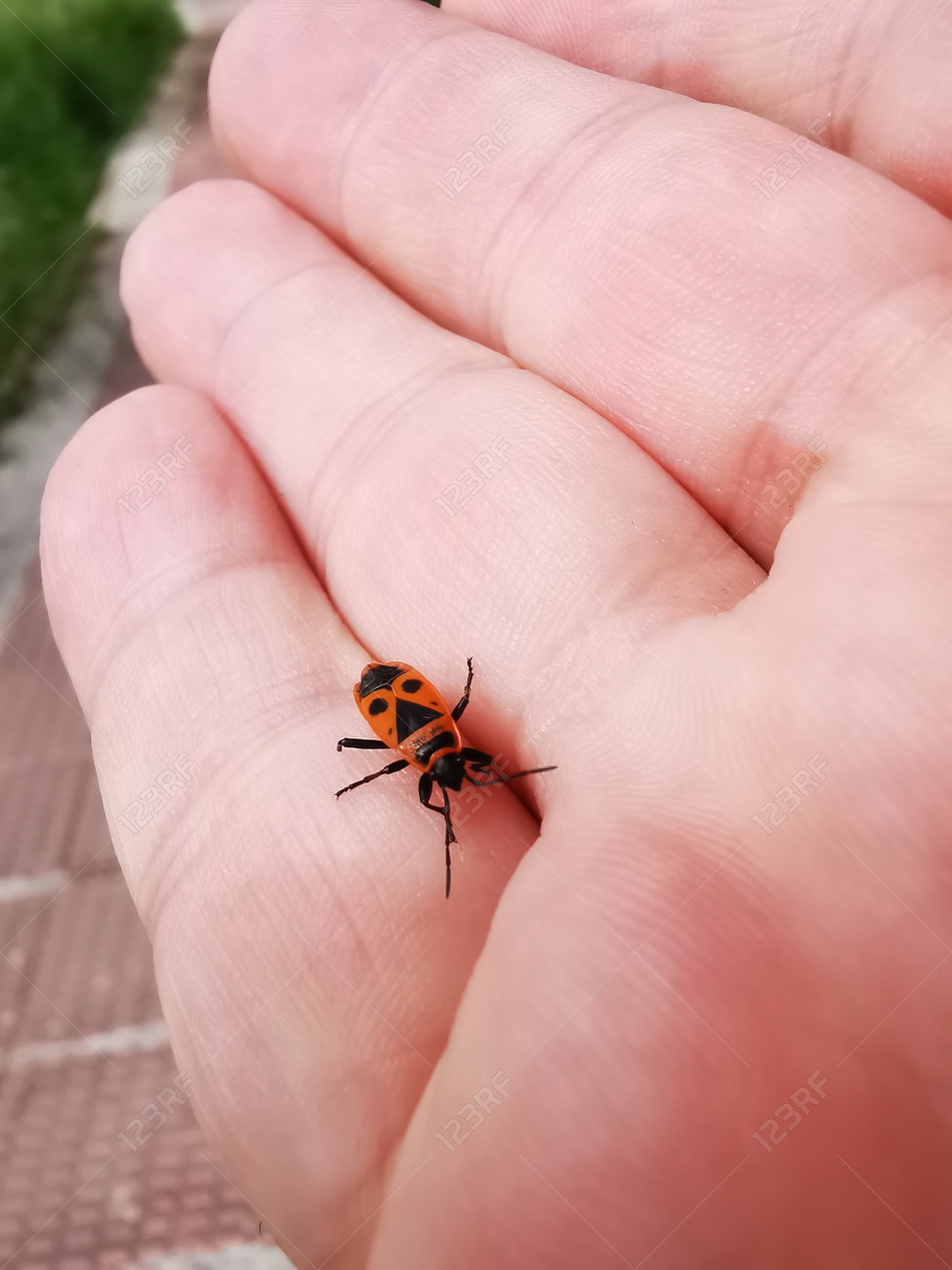 etiam-dictum-ipsum-a-felis