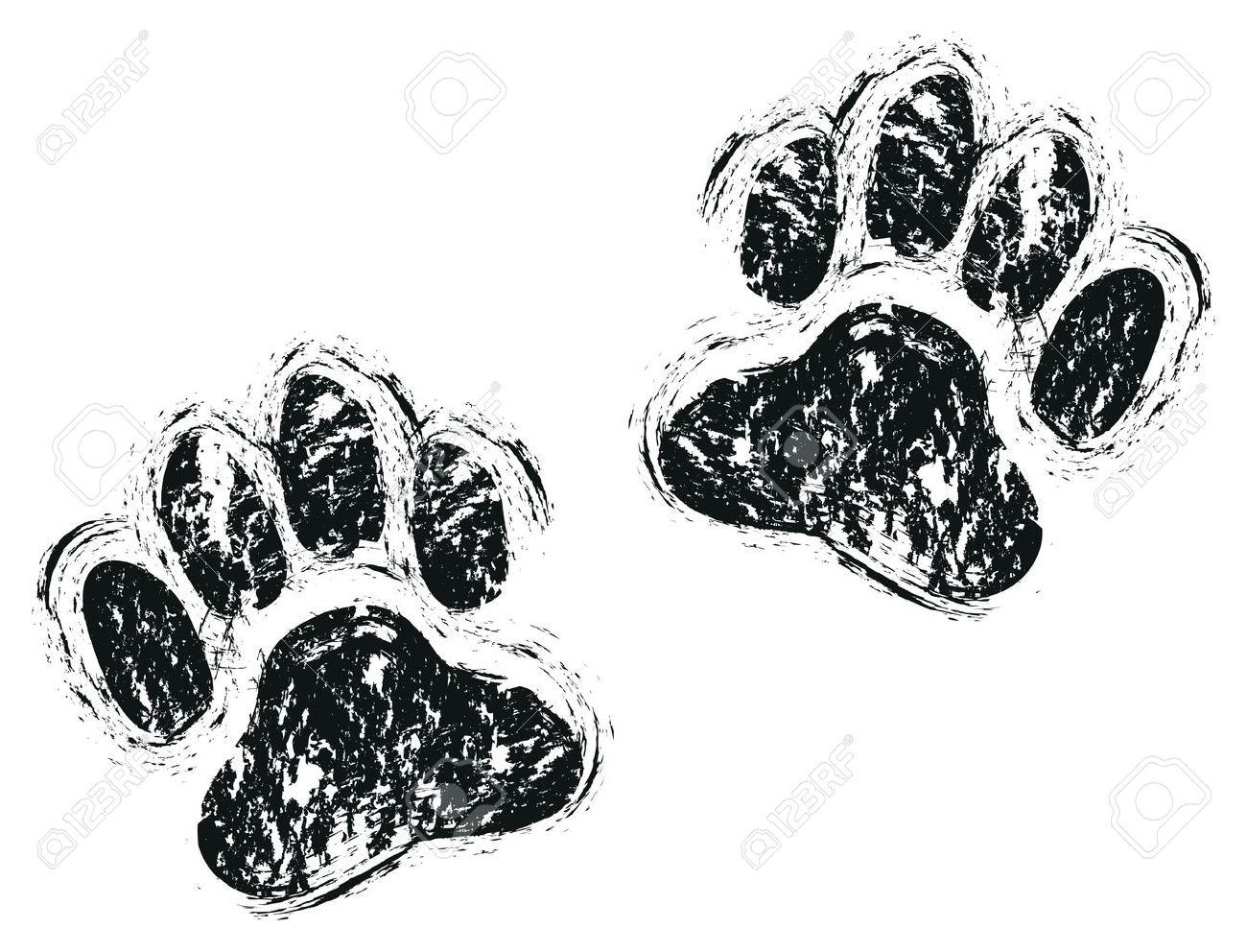 Dog Paws Royalty Free Cliparts Vectors And Stock Illustration Image 15809534