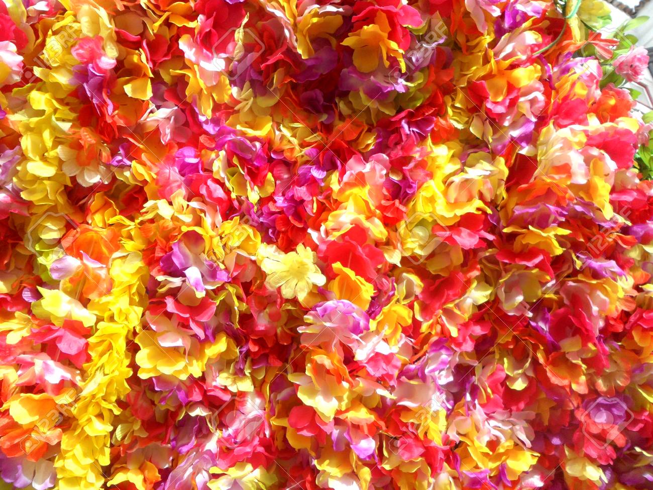 etiam-dictum-ipsum-a-felis