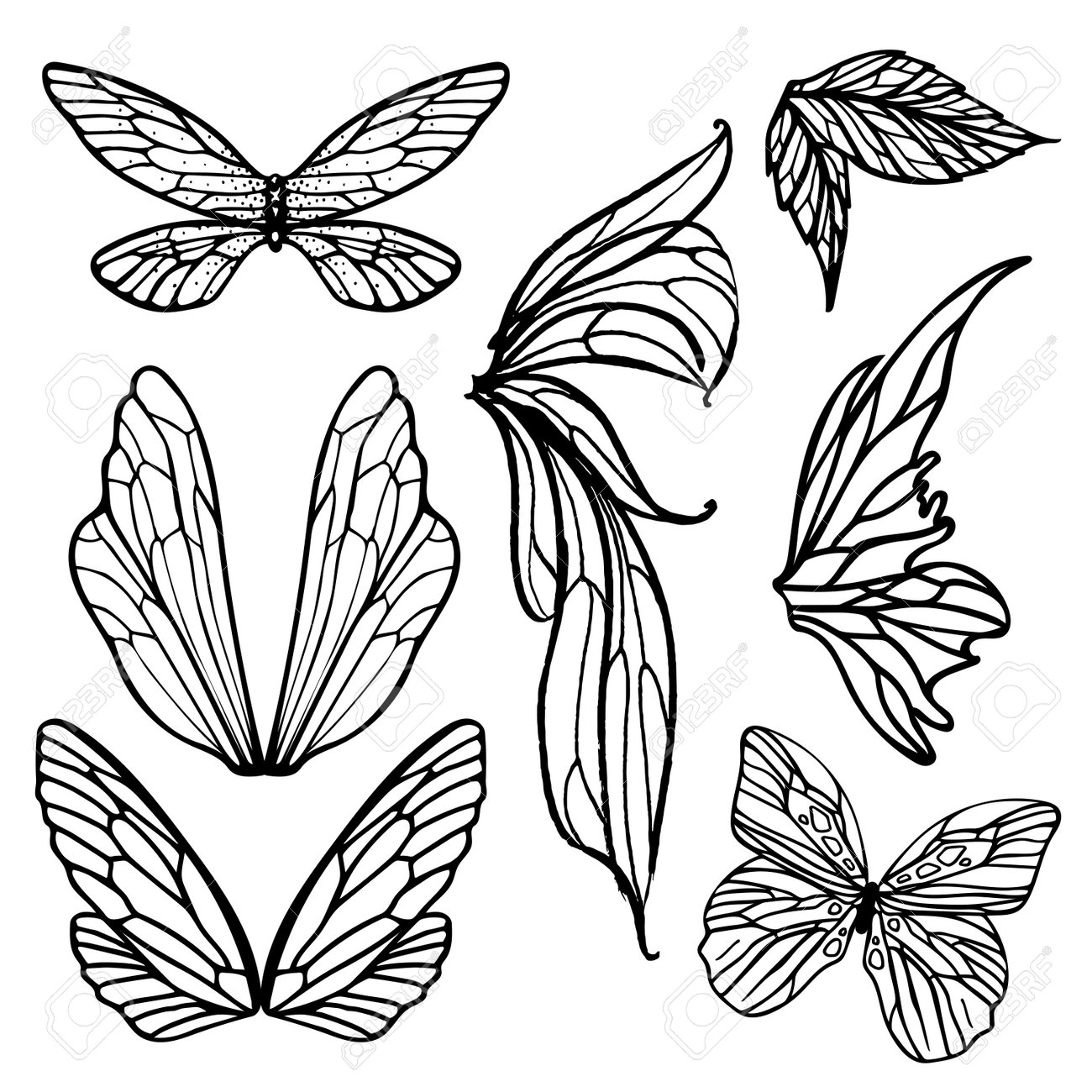 蝶の羽のデザイン画