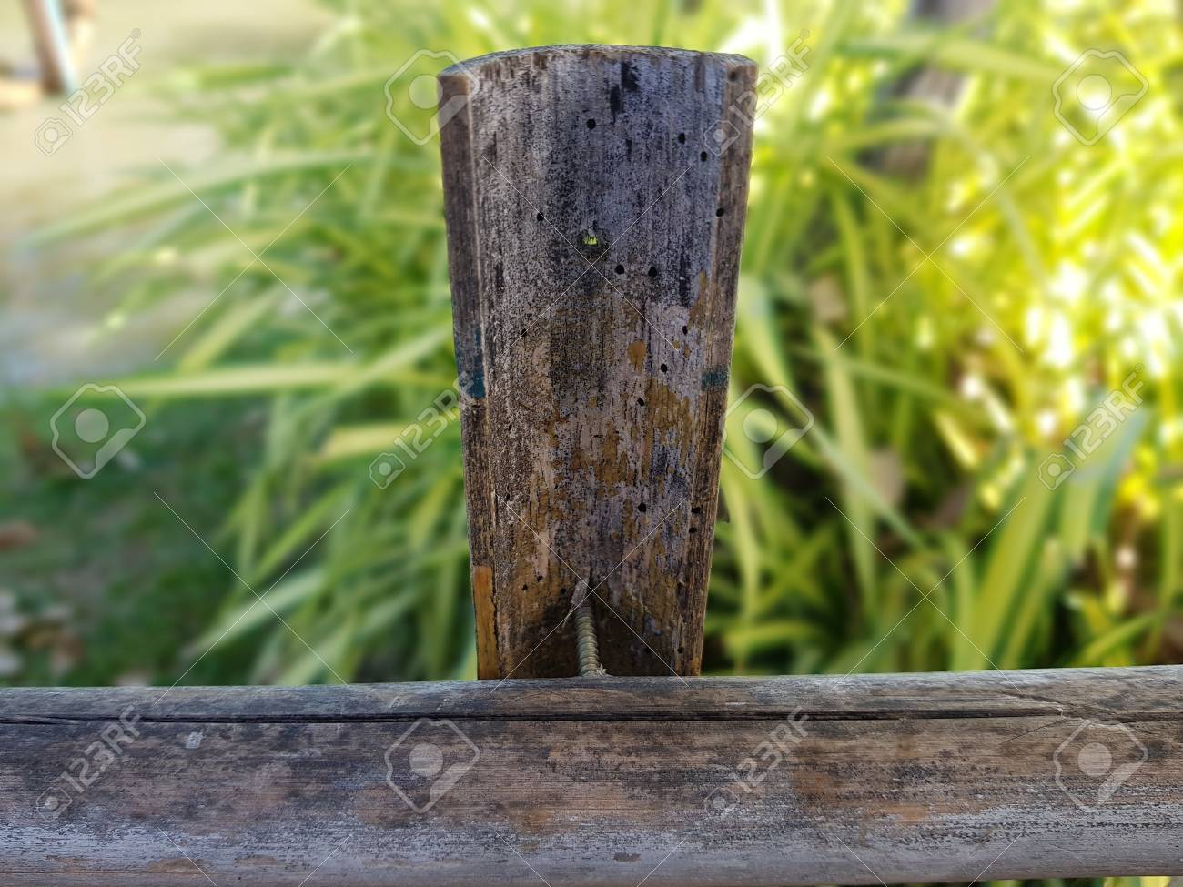 etiam-dictum-ipsum-a-felis