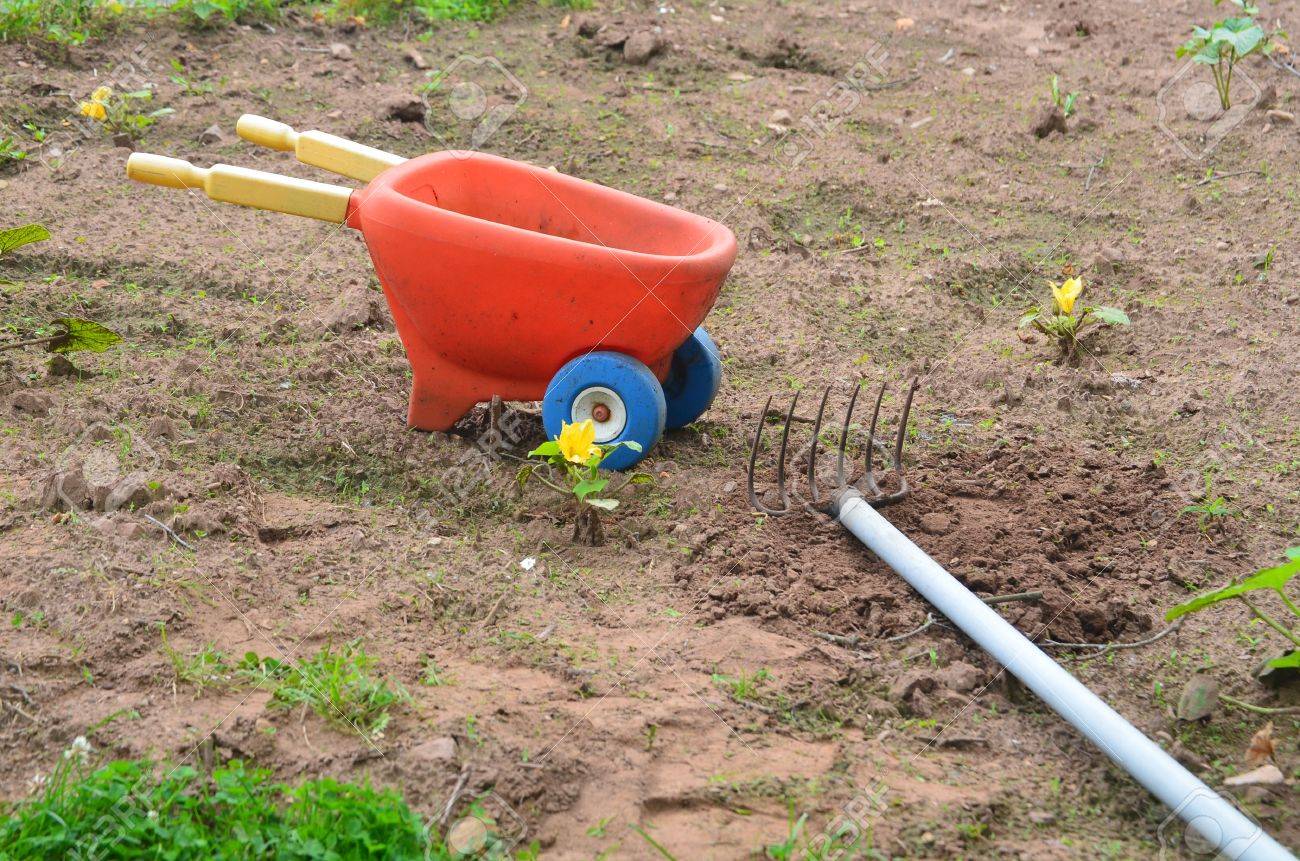 toy wheelbarrow