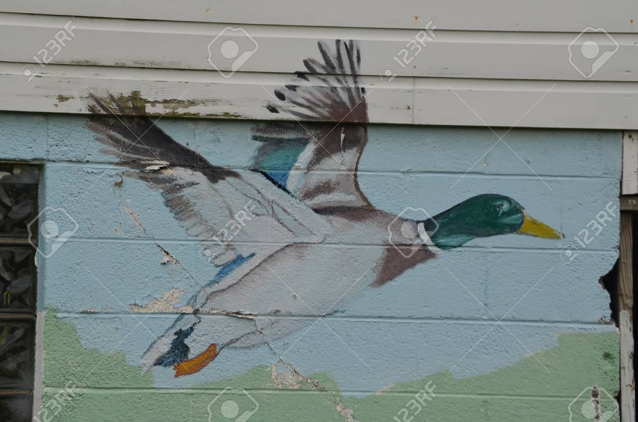 Duck Wall Painting Stock Photo Picture And Royalty Free Image Image 22851888