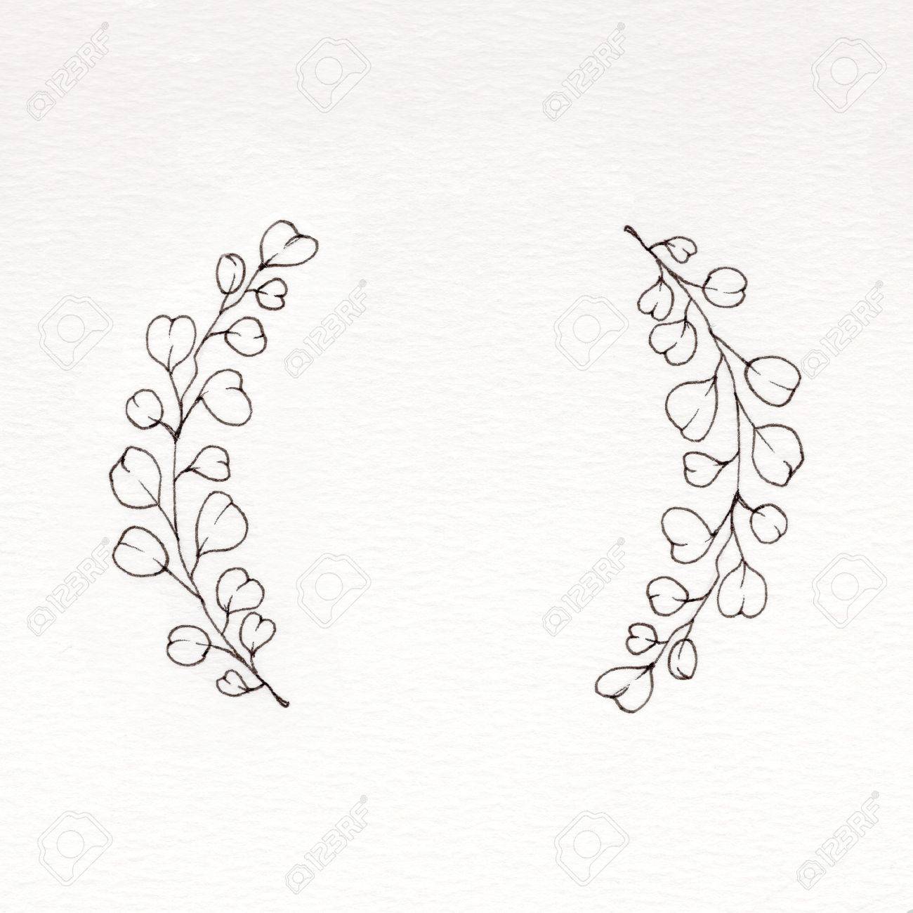 ユーカリの葉とグラフィックの花輪 の写真素材 画像素材 Image 76033713