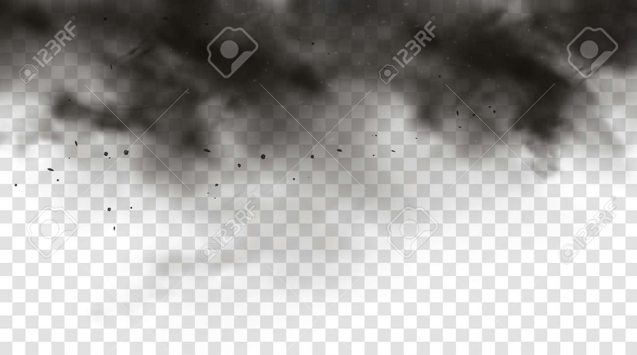 Black Smoke Or Fog Isolated On Transparent Light Background. Abstract Black  Powder Explosion With Particles. Colorful Dust Cloud Explode, Paint Holi,  Mist Smog Effect. Realistic Vector Illustration. Royalty Free SVG,  Cliparts, Vectors,, image size:1300x725